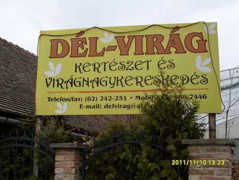 vegyes_045.jpg